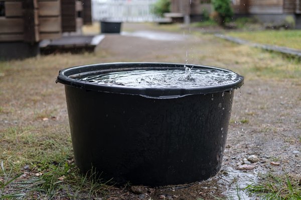 Récupérateur d'eau de pluie : simplifiez votre installation aujourd'hui